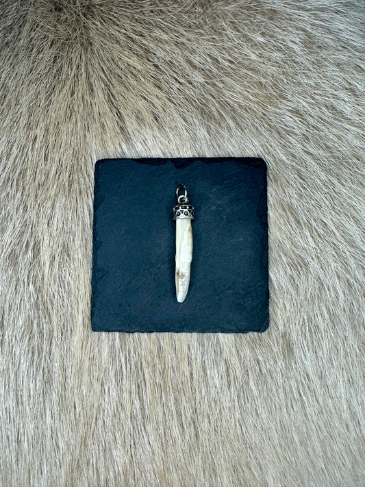 Anhänger Wildschwein Schneidezahn Nr. 5