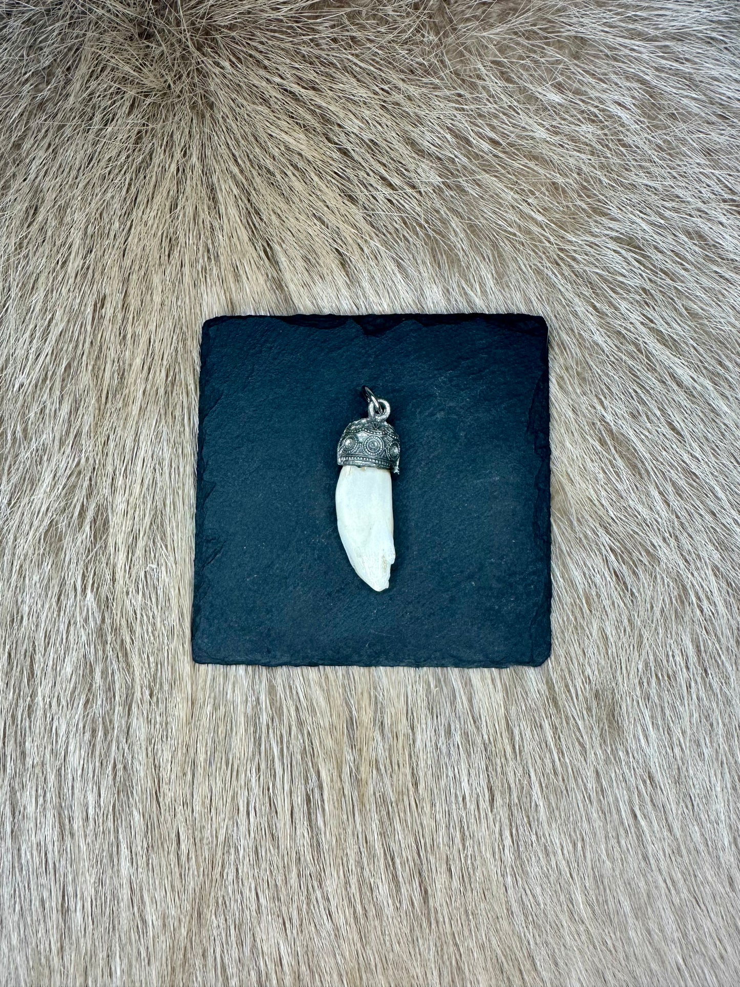 Anhänger Wildschwein Haderer Nr. 3