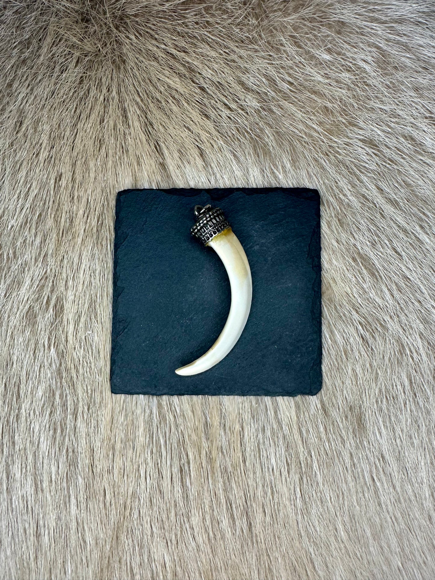 Anhänger Wildschwein Hauer Nr. 7