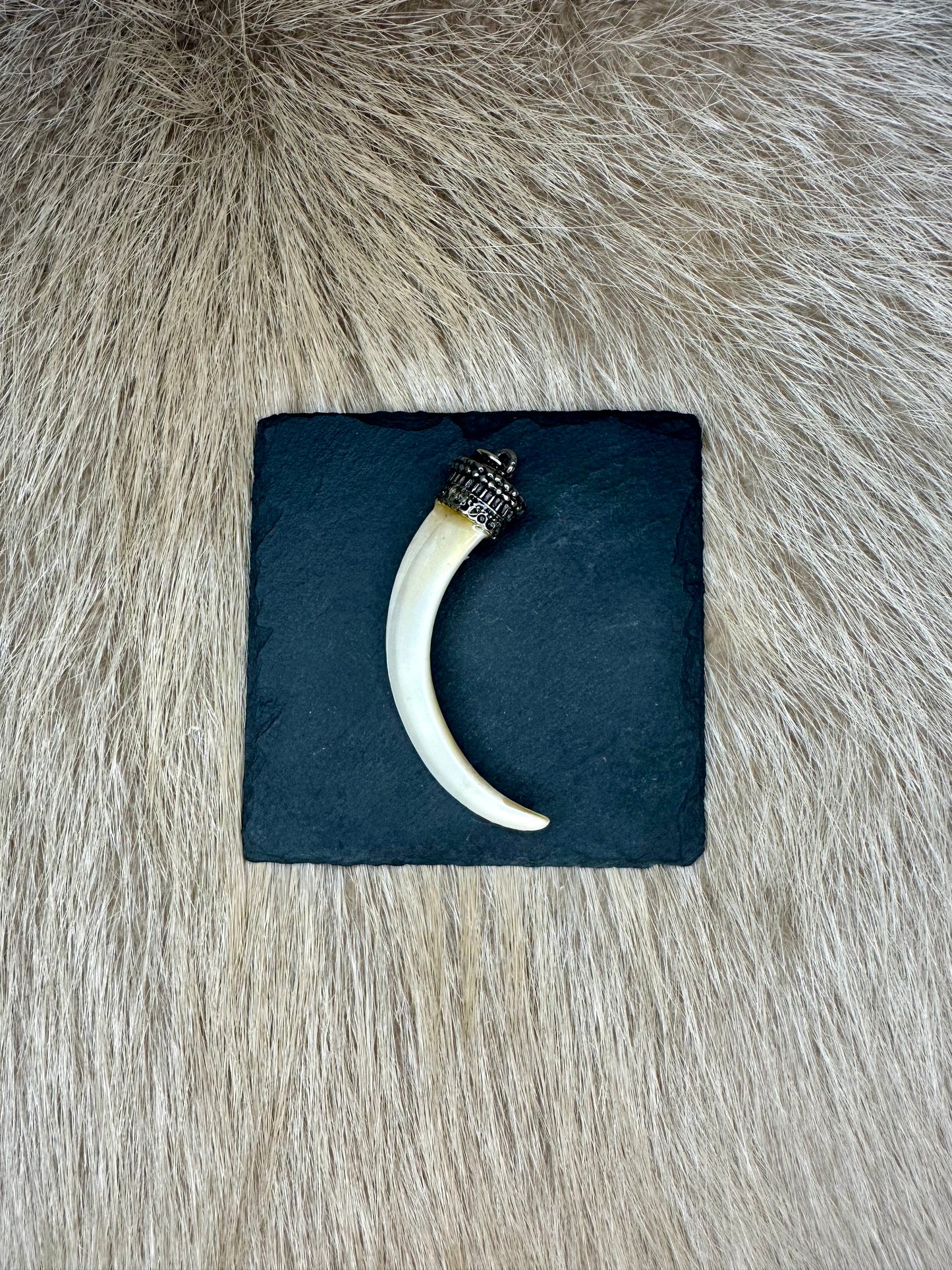 Anhänger Wildschwein Hauer Nr. 8
