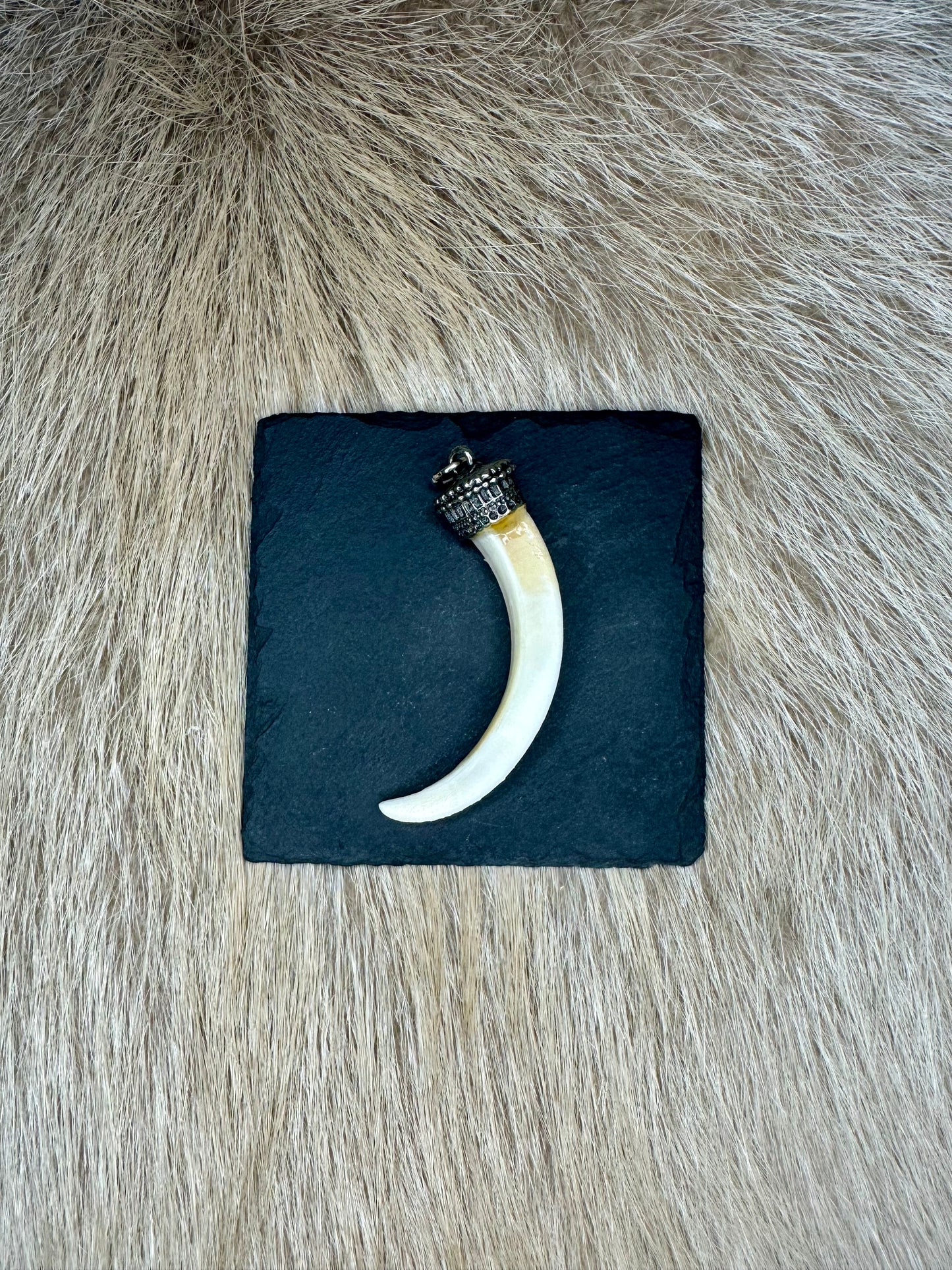 Anhänger Wildschwein Hauer Nr. 8