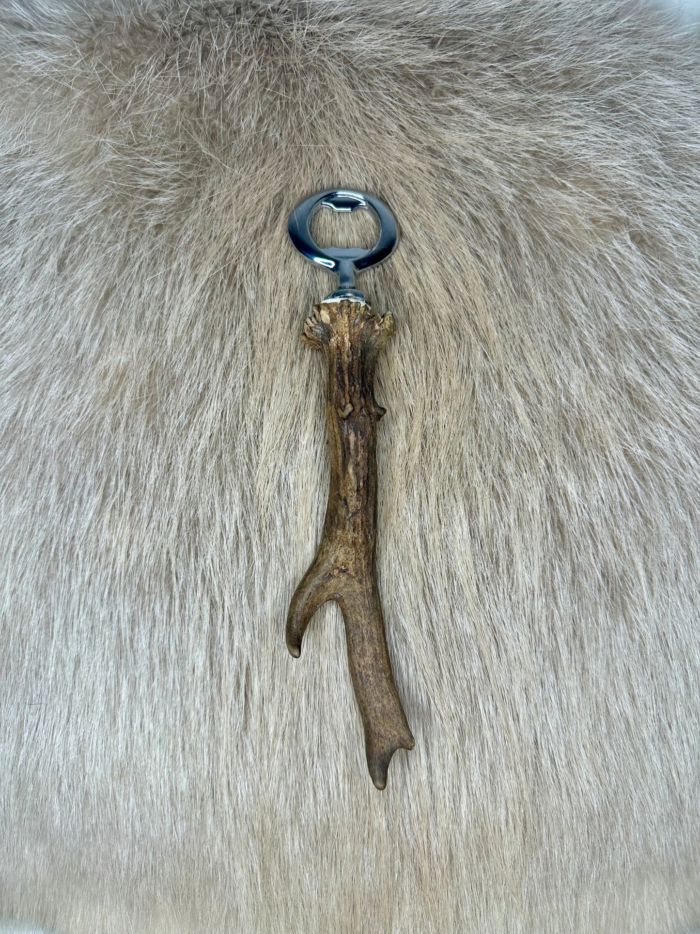 Flaschenöffner Rehgeweih Nr. 5