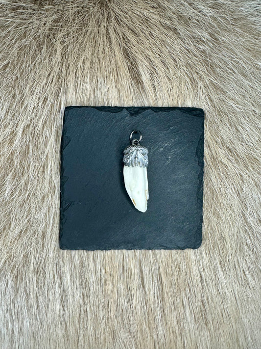 Anhänger Wildschwein Waffe Nr. 11