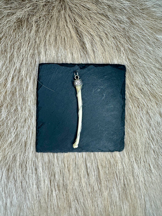 Anhänger Penisknochen Dachs Nr. 4