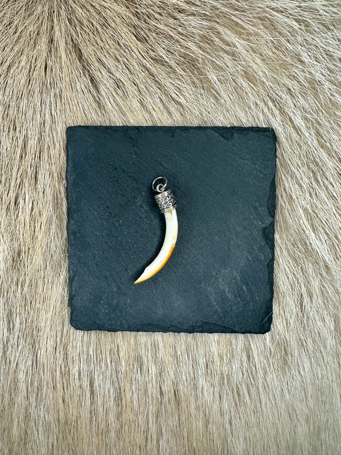 Anhänger Nutriazahn Nr. 1