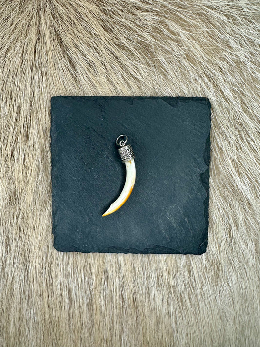 Anhänger Nutriazahn Nr. 1