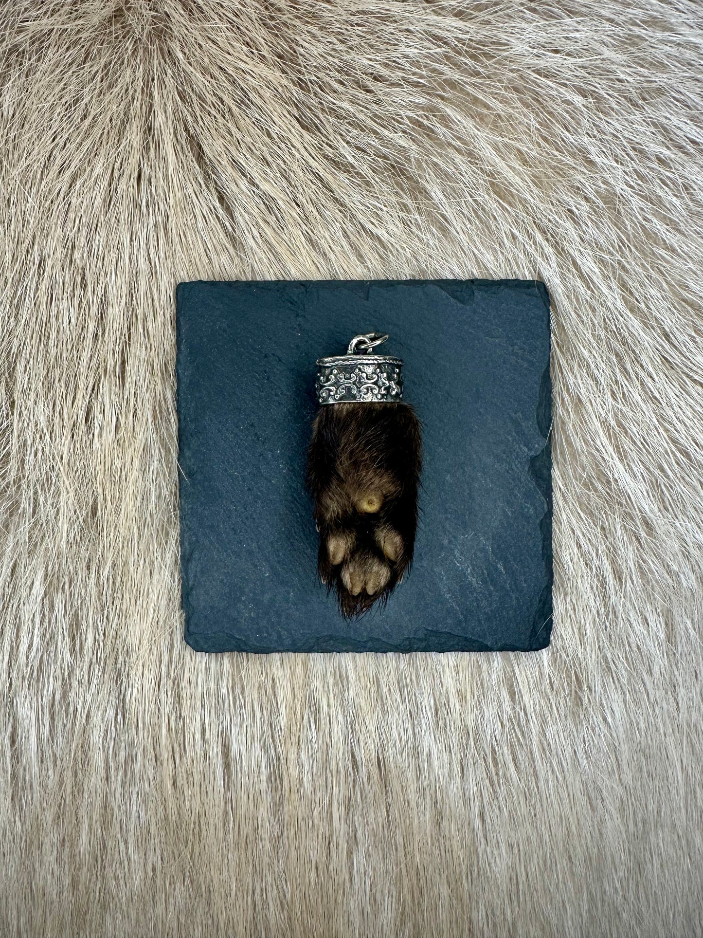 Anhänger Marderbrante Nr. 1