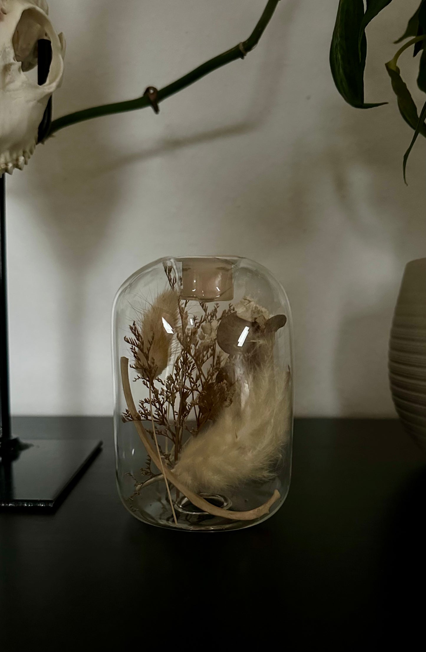 Gläserner Kerzenständer mit Fuchsrippen & Trockenblumen
