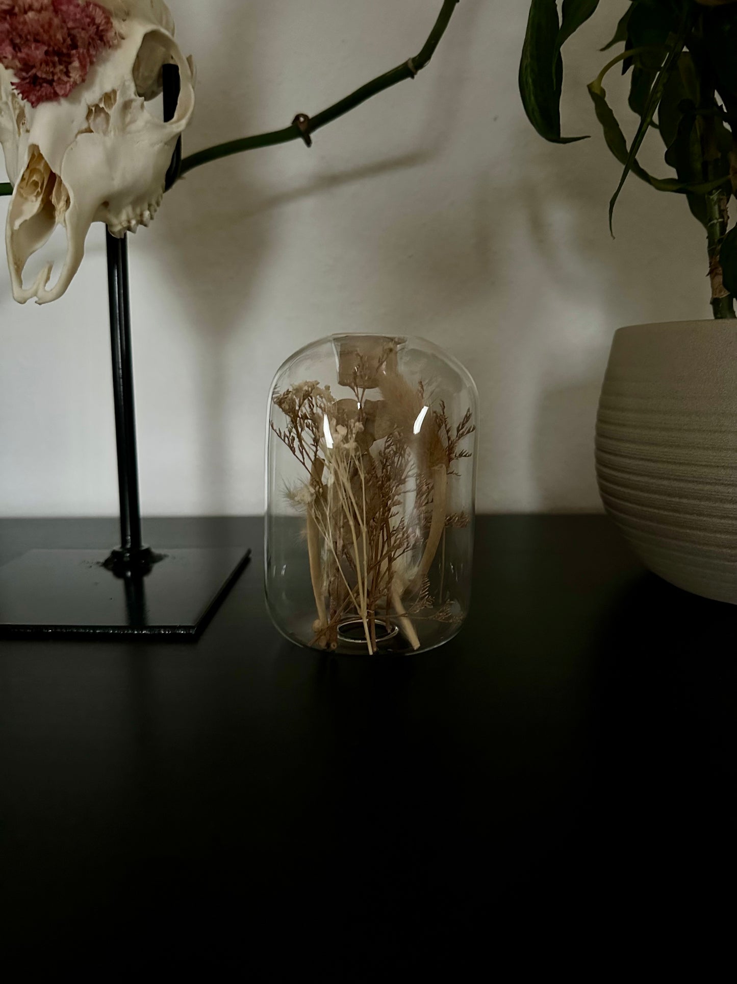 Gläserner Kerzenständer mit Fuchsrippen & Trockenblumen