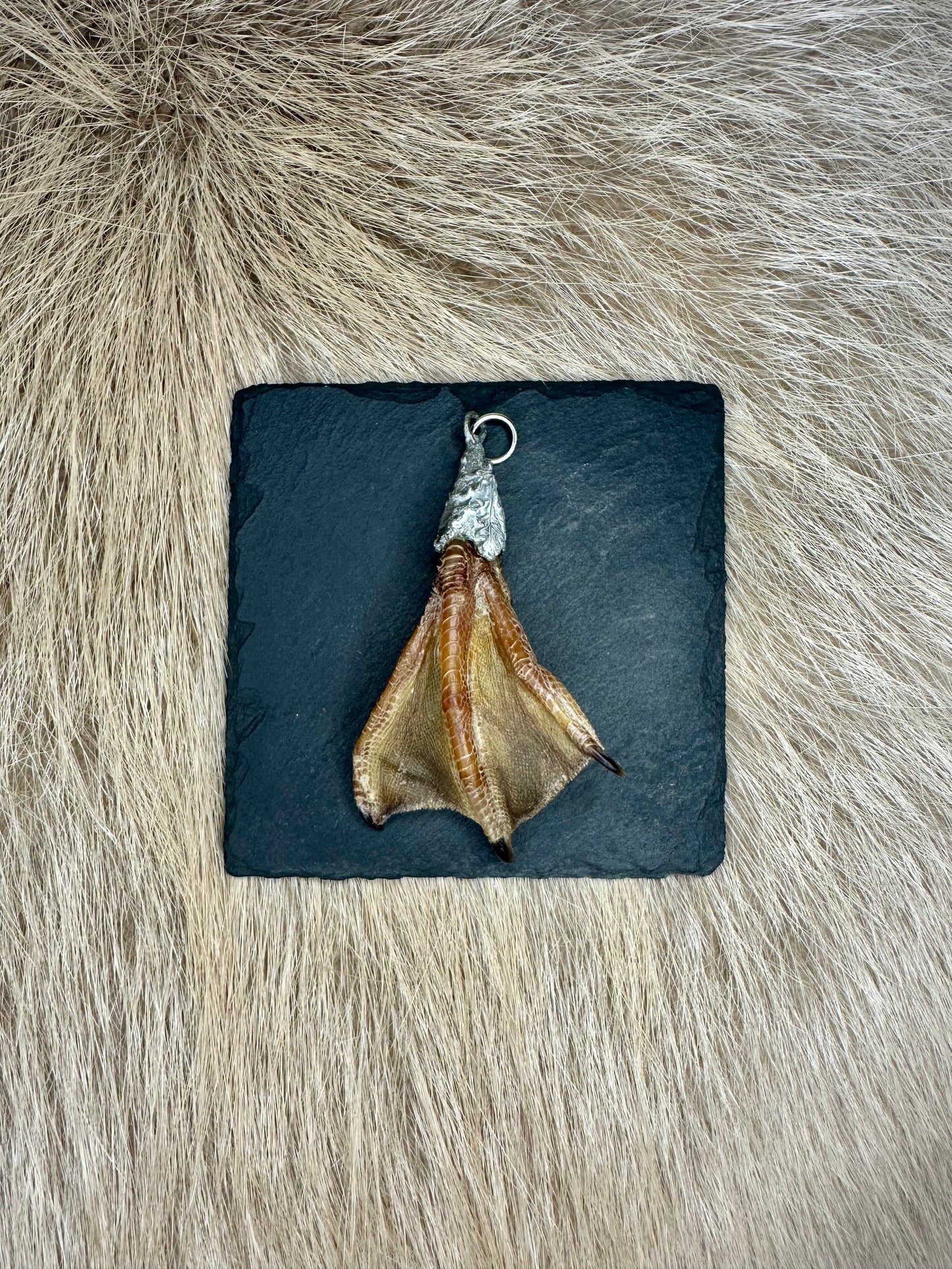 Anhänger Entenlatsche