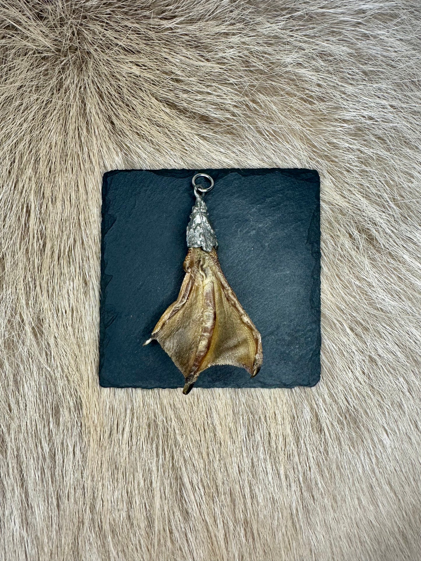 Anhänger Entenlatsche