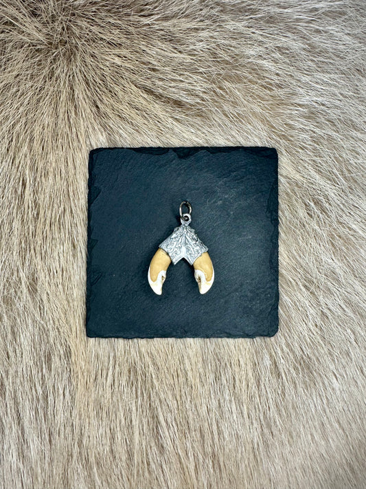 Anhänger Wildschwein Schneidezahn Nr. 1 doppelt