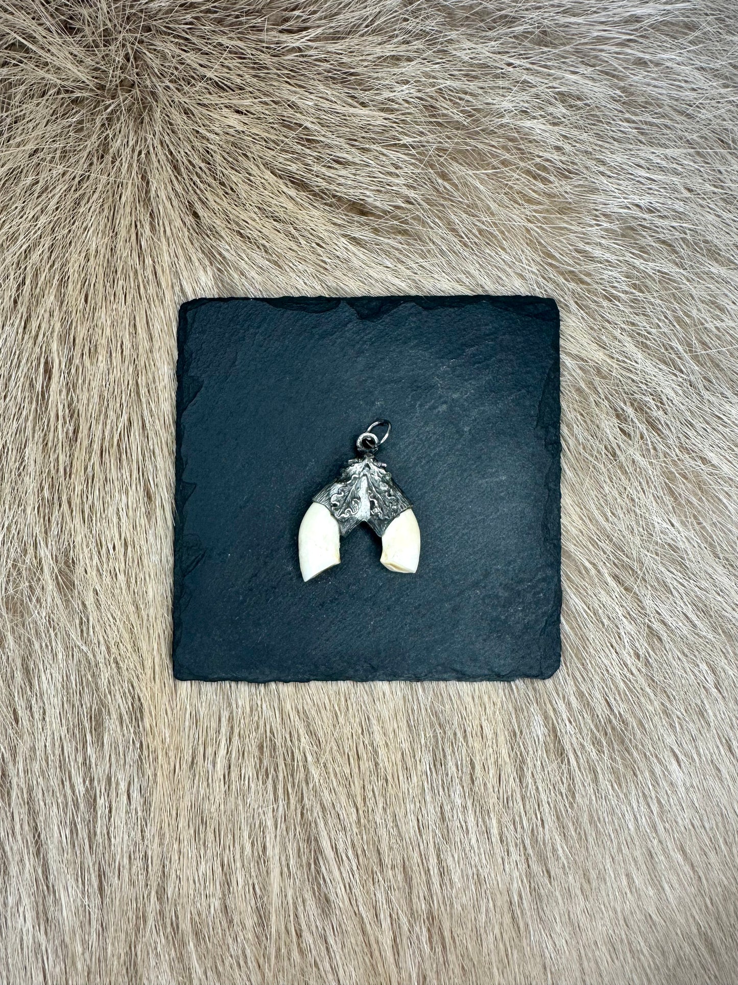 Anhänger Wildschwein Schneidezahn Nr. 2 doppelt