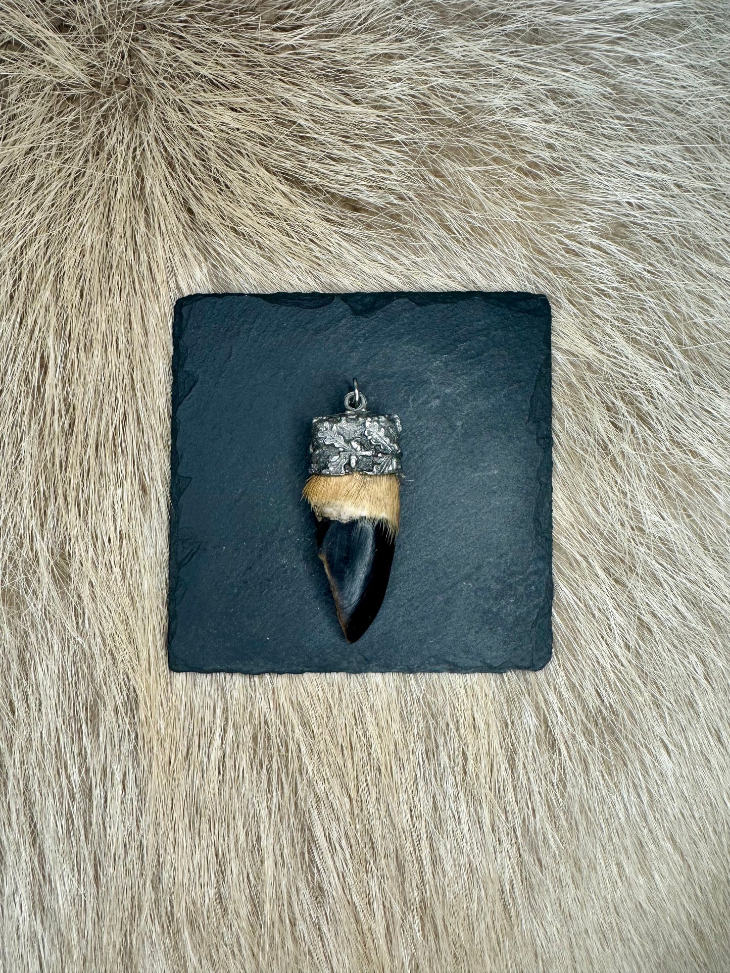 Anhänger Rehschale Nr. 1