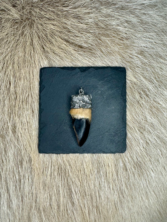 Anhänger Rehschale Nr. 1