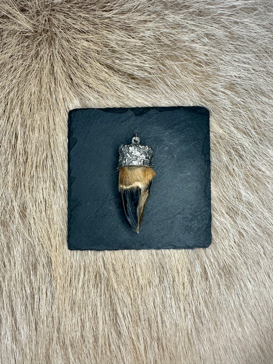 Anhänger Rehschale Nr. 1