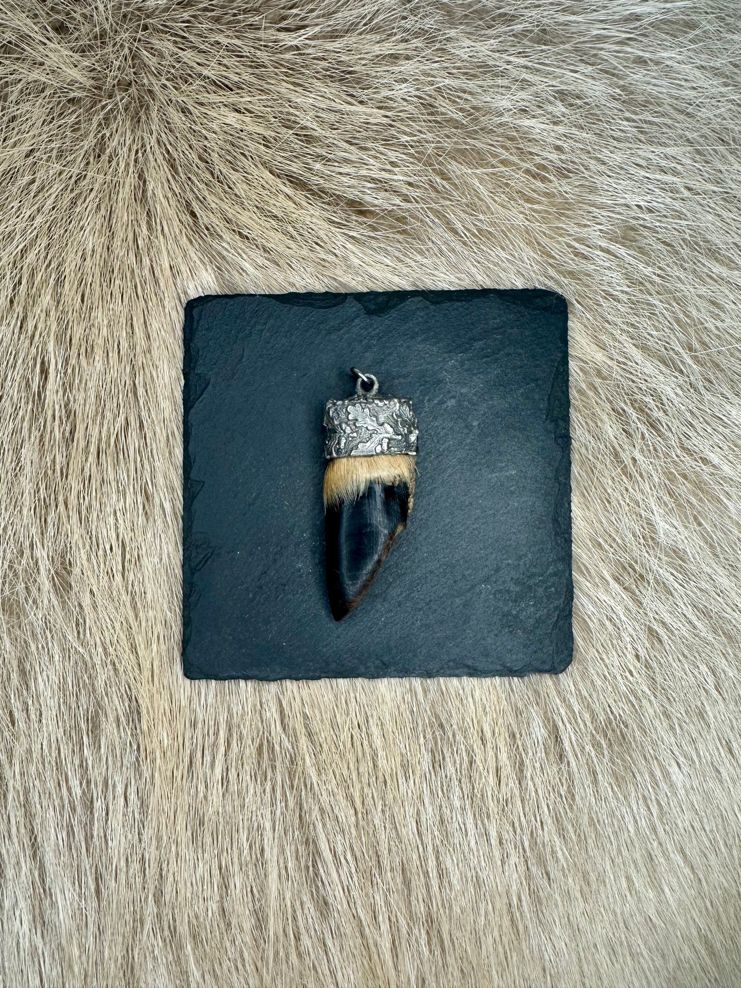 Anhänger Rehschale Nr. 2