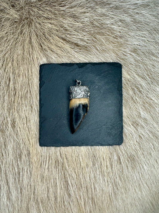 Anhänger Rehschale Nr. 2