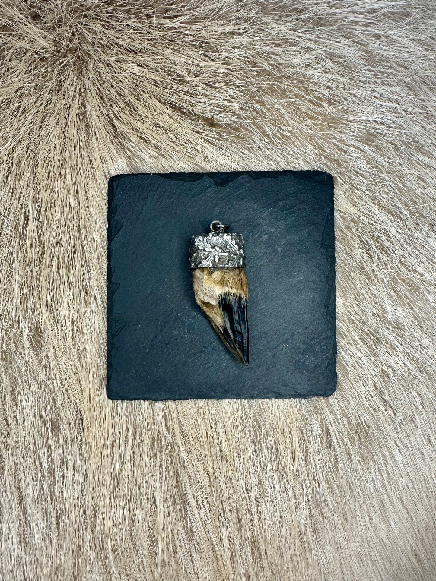 Anhänger Rehschale Nr. 2