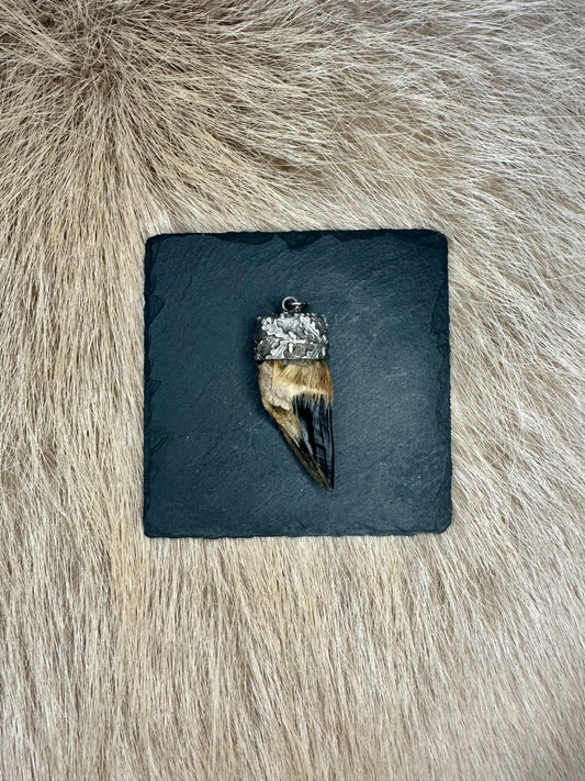 Anhänger Rehschale Nr. 2