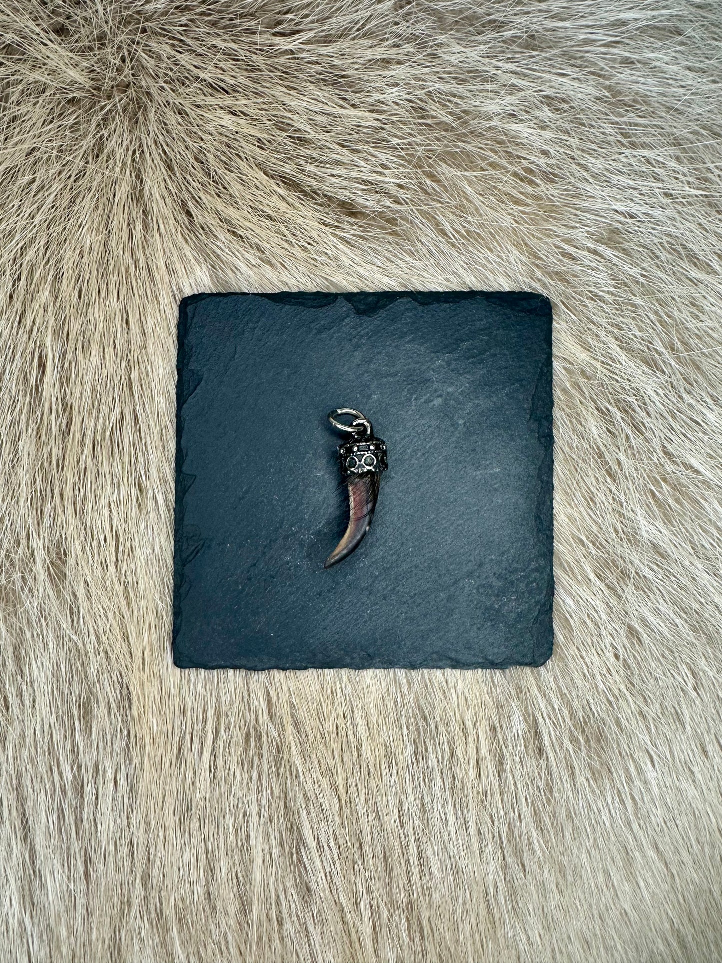 Anhänger Dachskralle Nr. 1