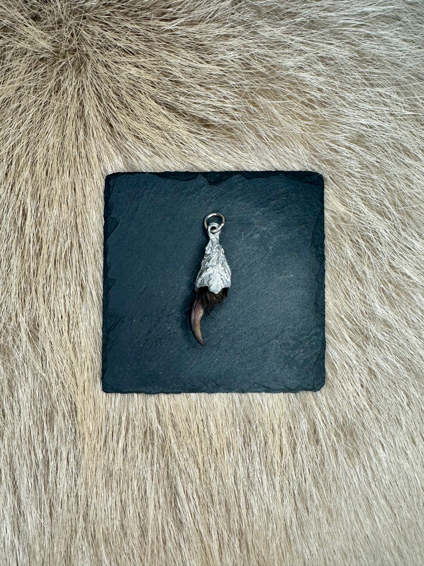 Anhänger Dachskralle Nr. 3