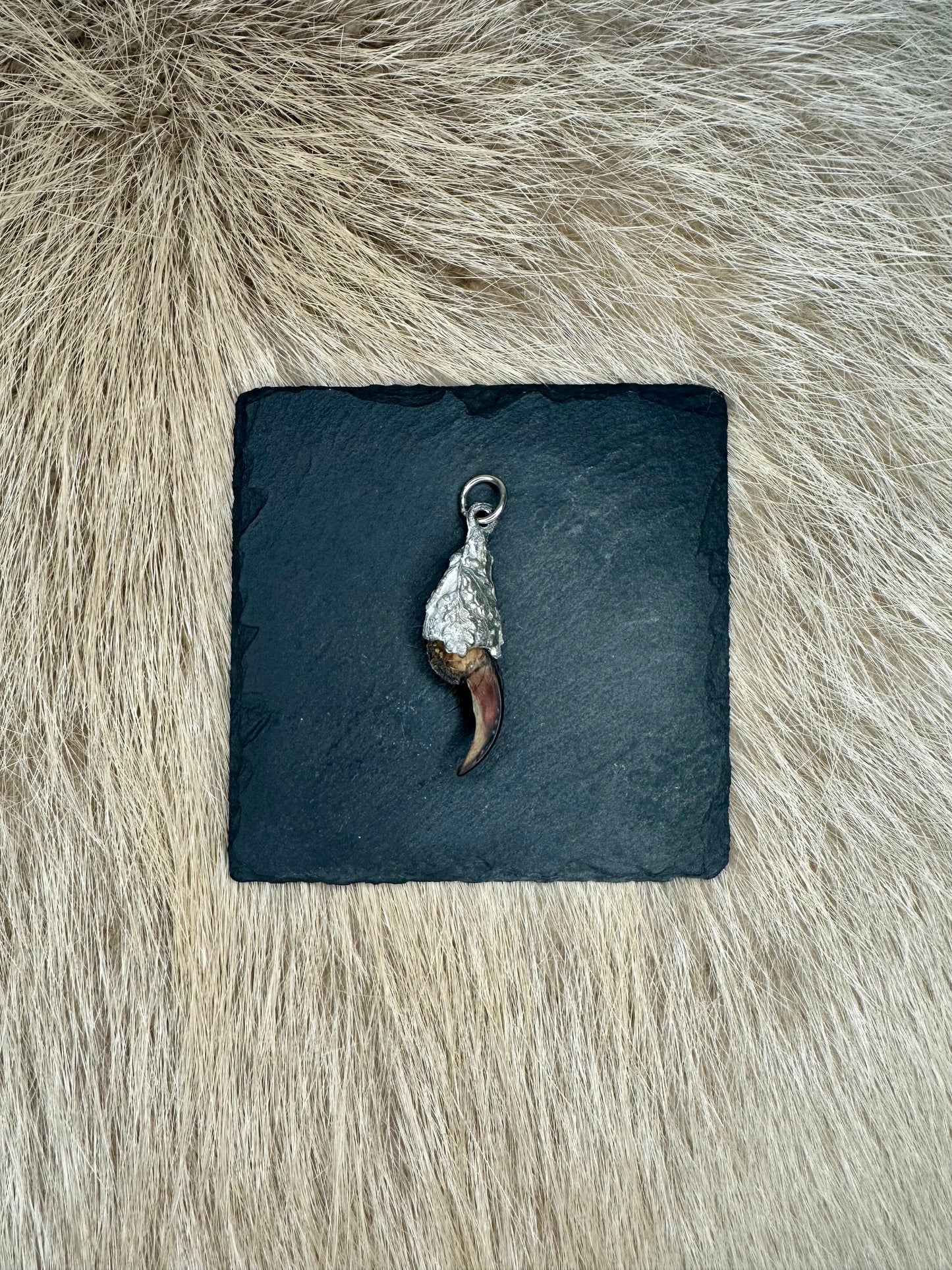 Anhänger Dachskralle Nr. 3