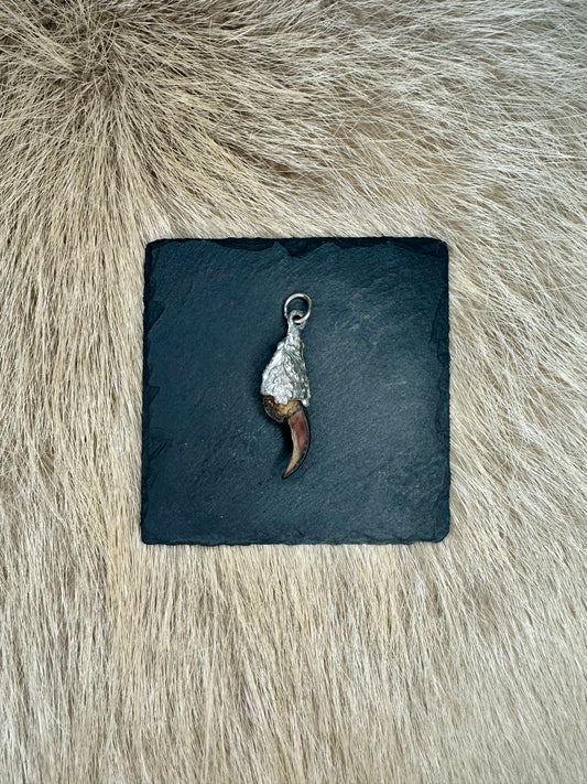 Anhänger Dachskralle Nr. 3