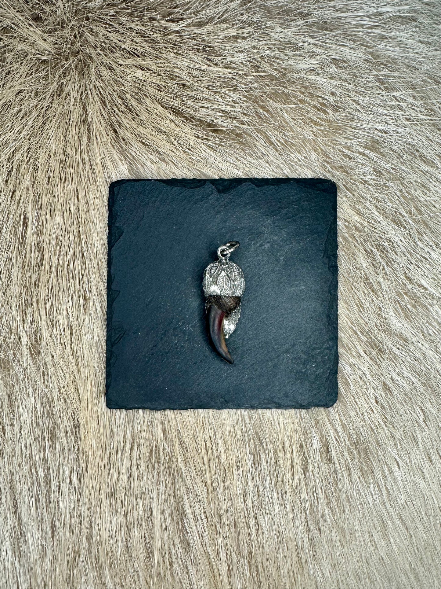 Anhänger Dachskralle Nr. 4