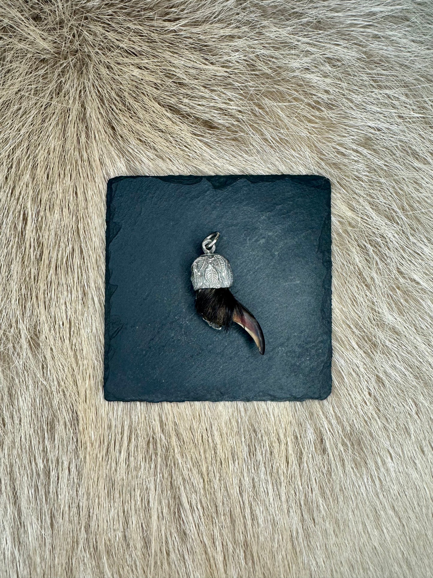 Anhänger Dachskralle Nr. 11