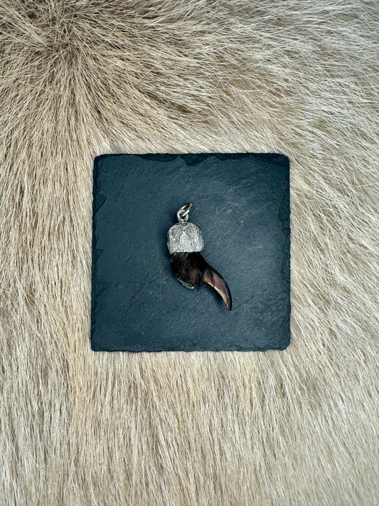 Anhänger Dachskralle Nr. 11