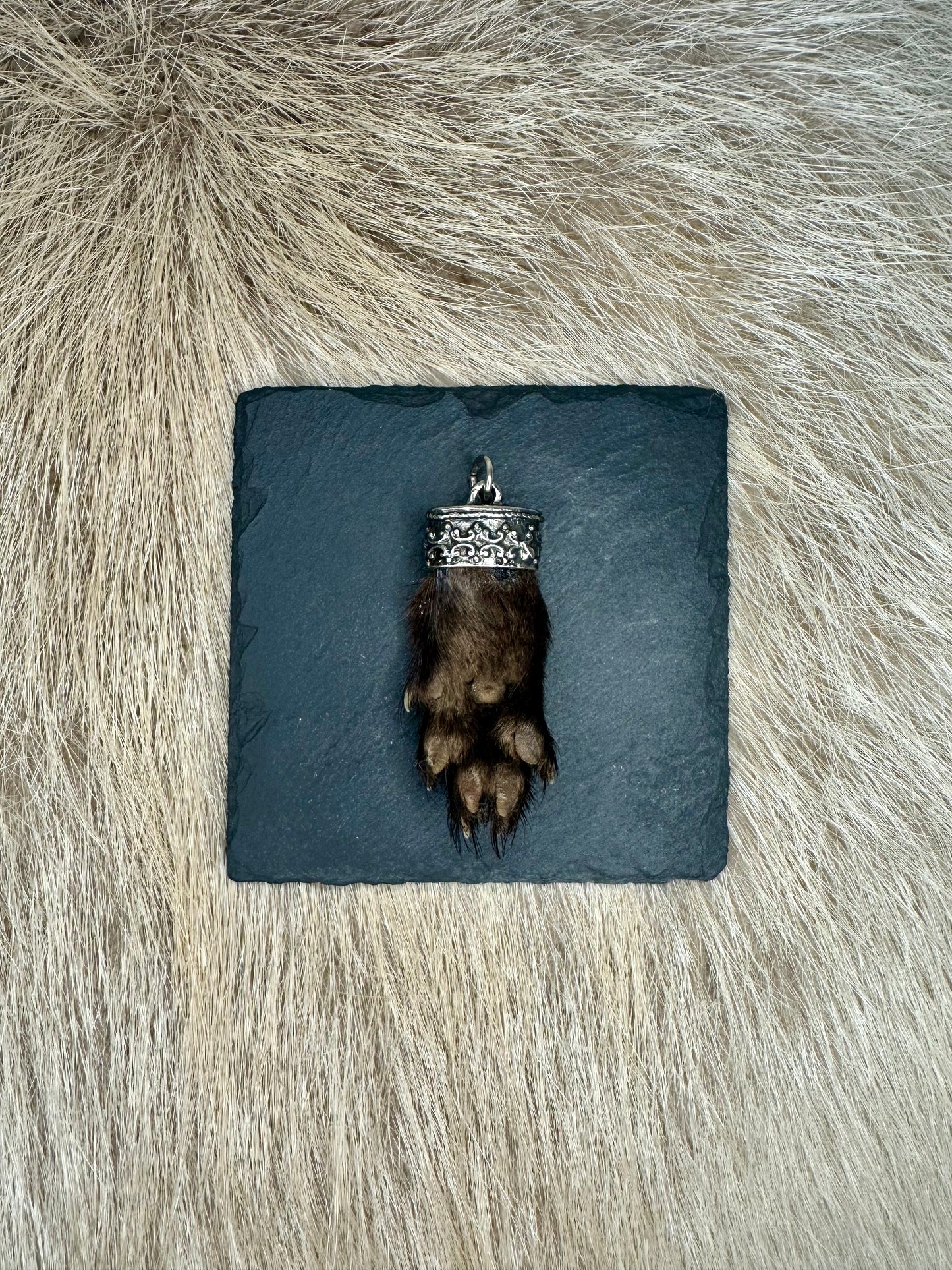 Anhänger Marderbrante Nr. 3