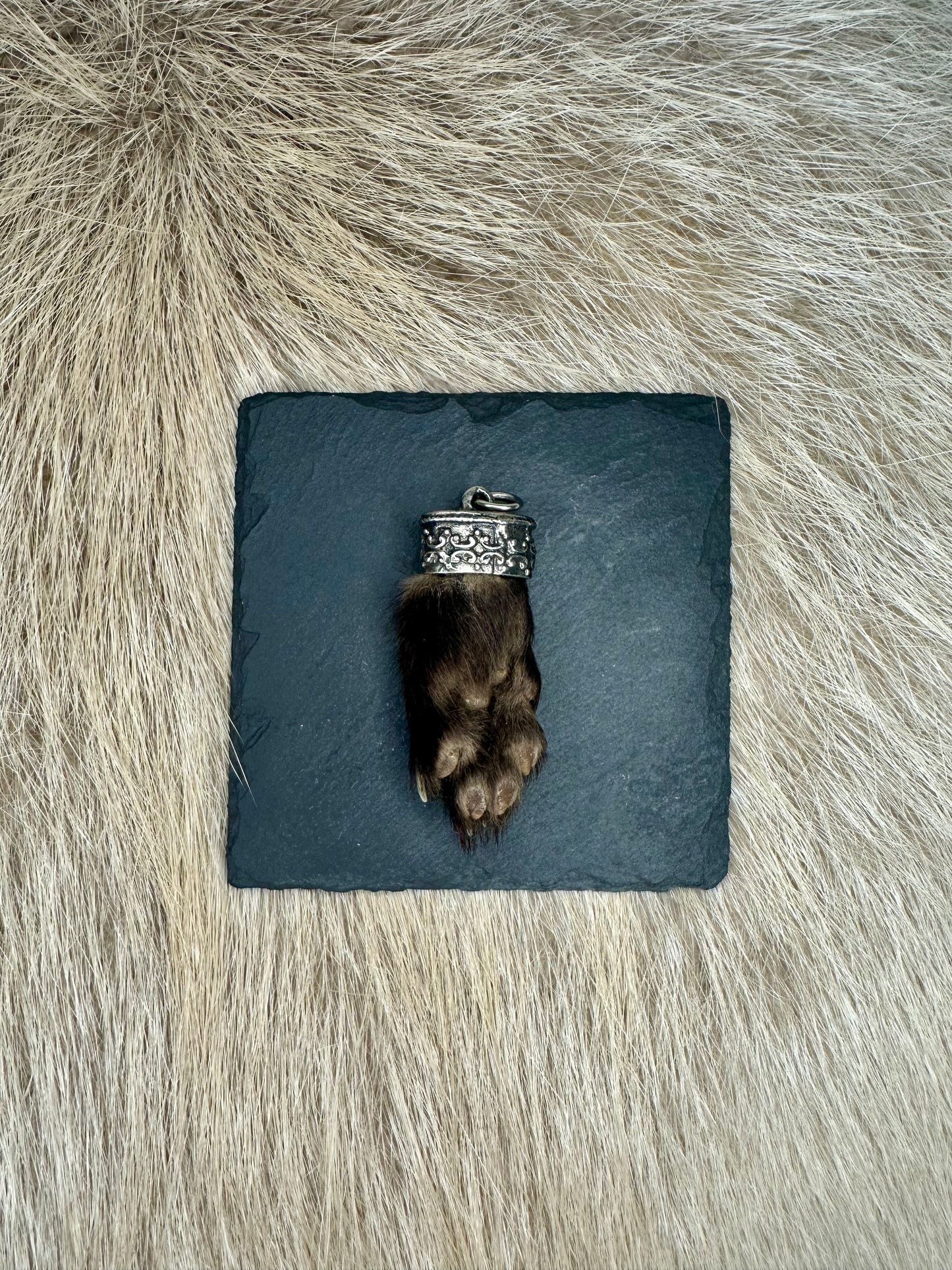 Anhänger Marderbrante Nr. 4