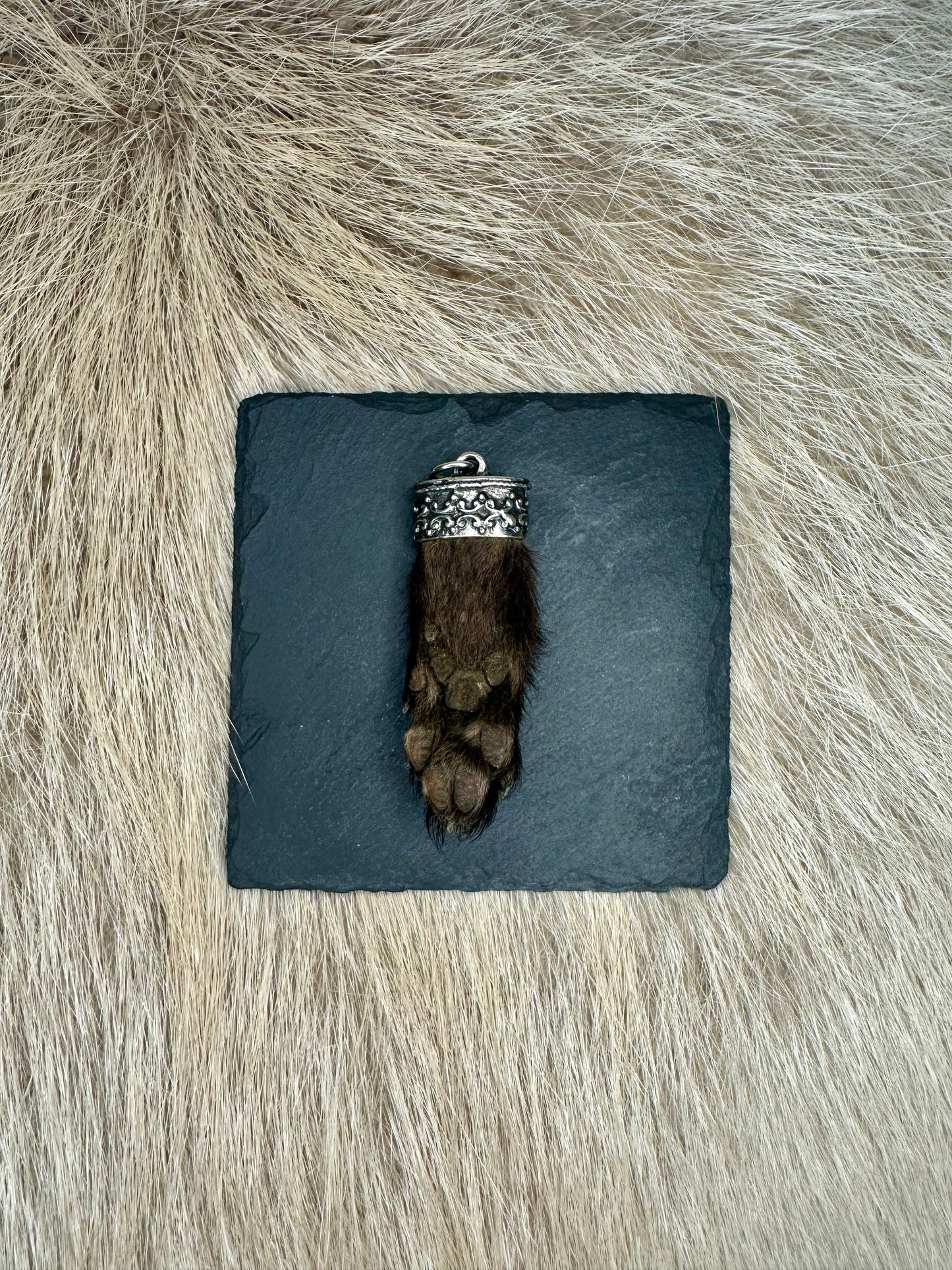 Anhänger Marderbrante Nr. 5