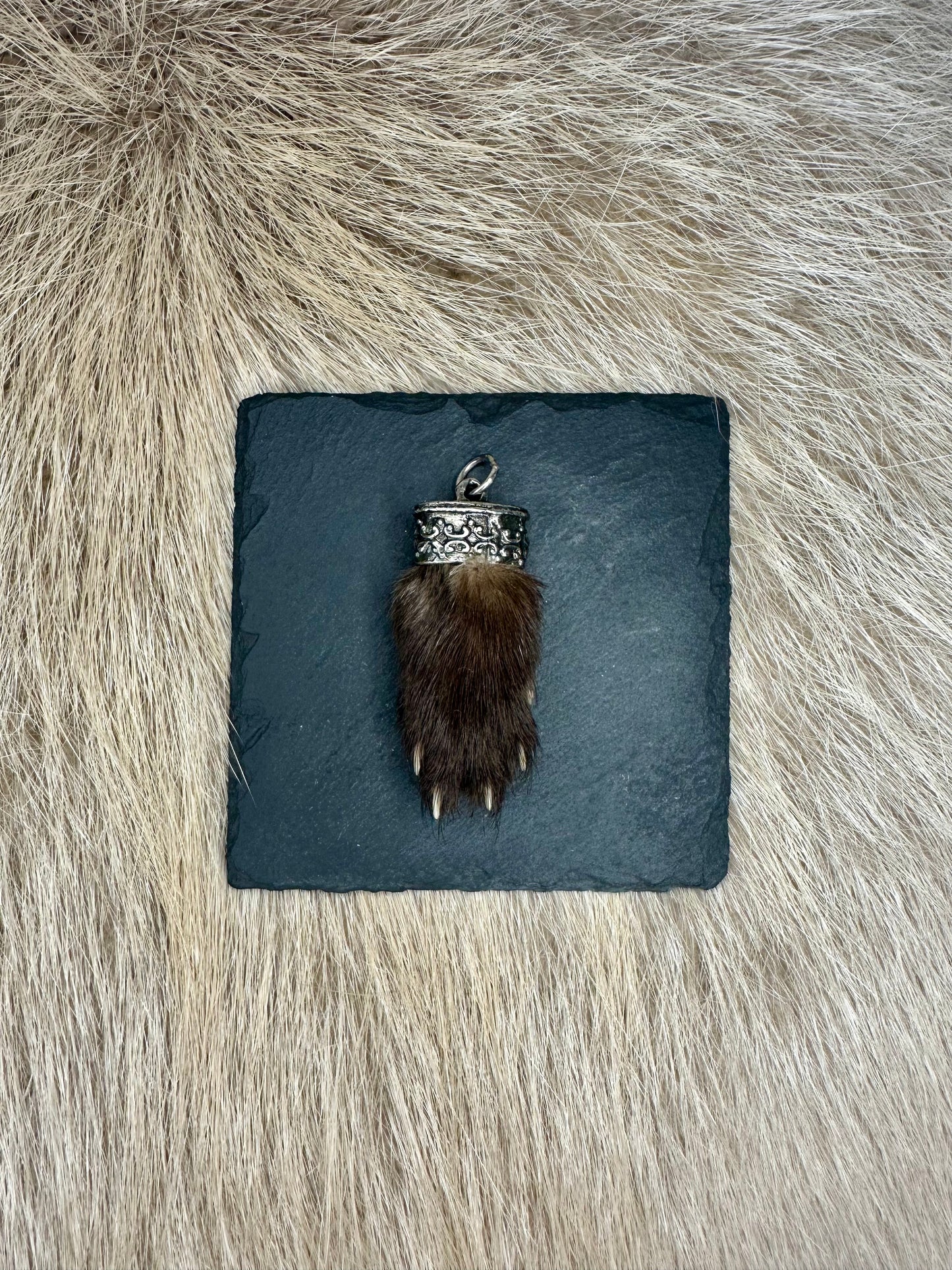 Anhänger Marderbrante Nr. 6