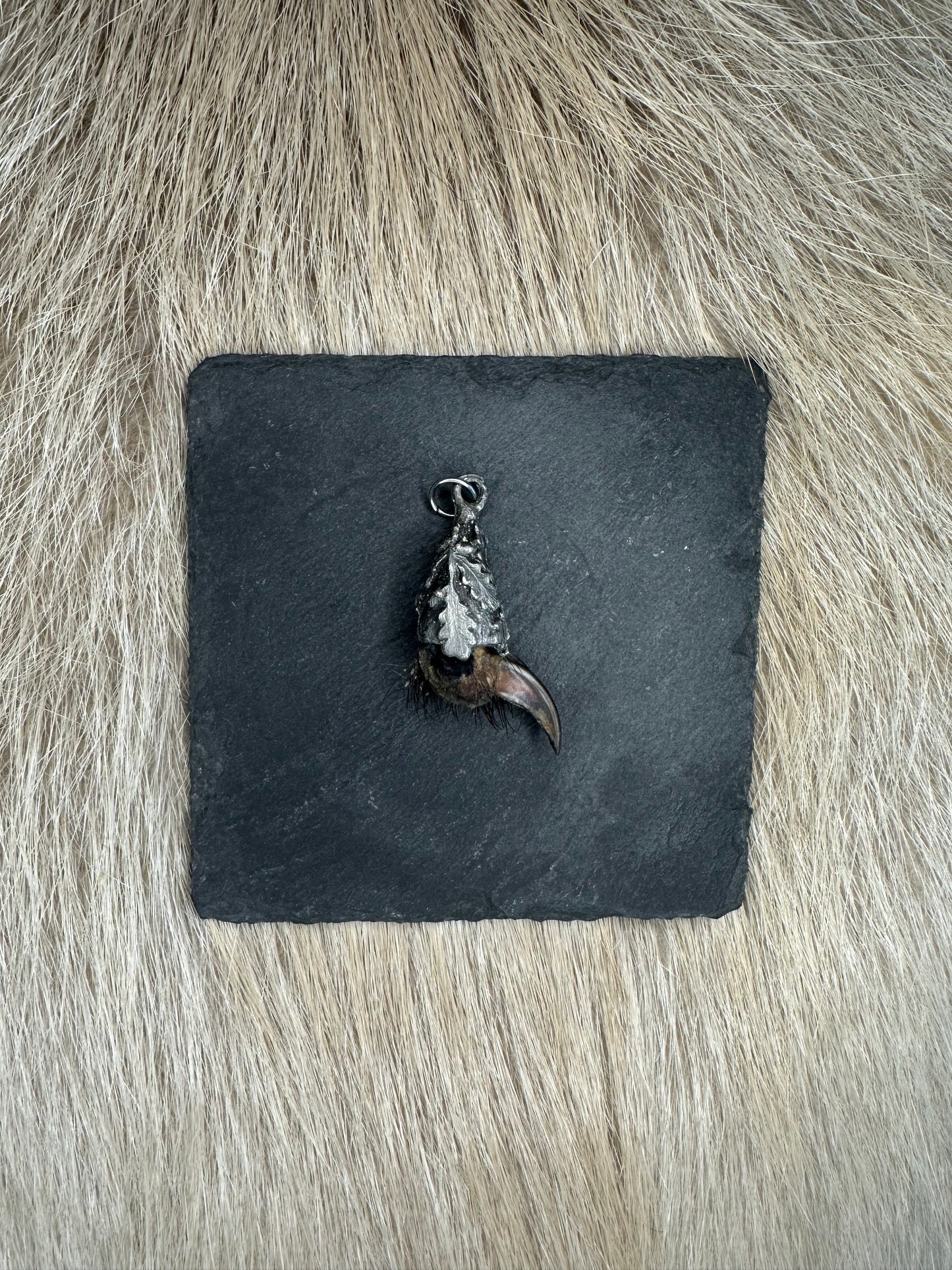 Anhänger Dachskralle
