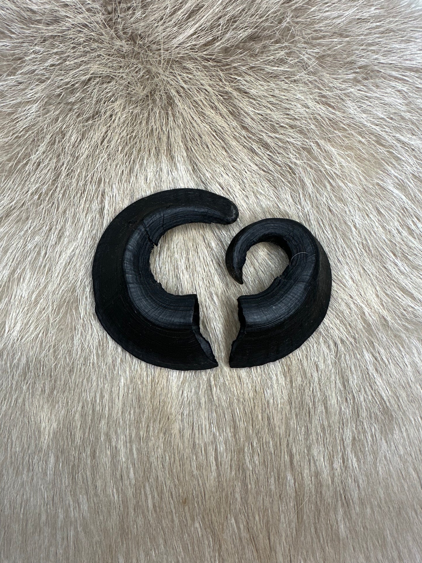 Muffel Horn Nr. 3 Passhörner