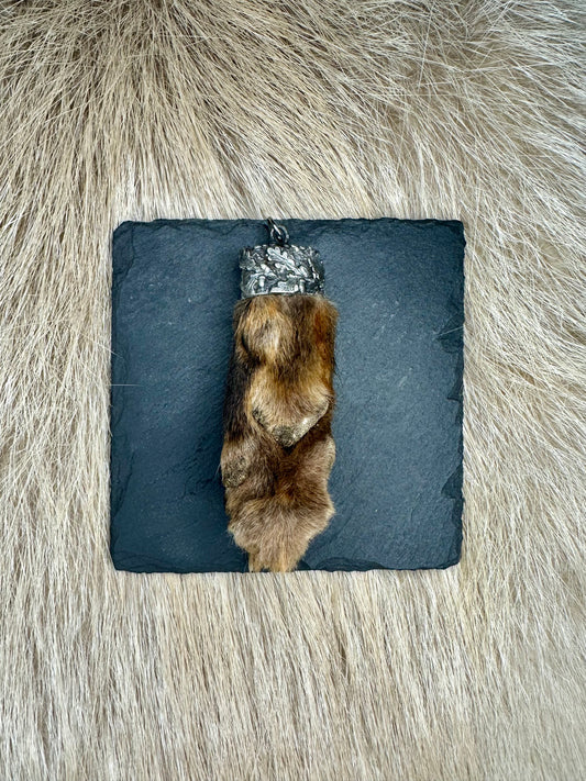 Anhänger Fuchs Brante Nr. 2