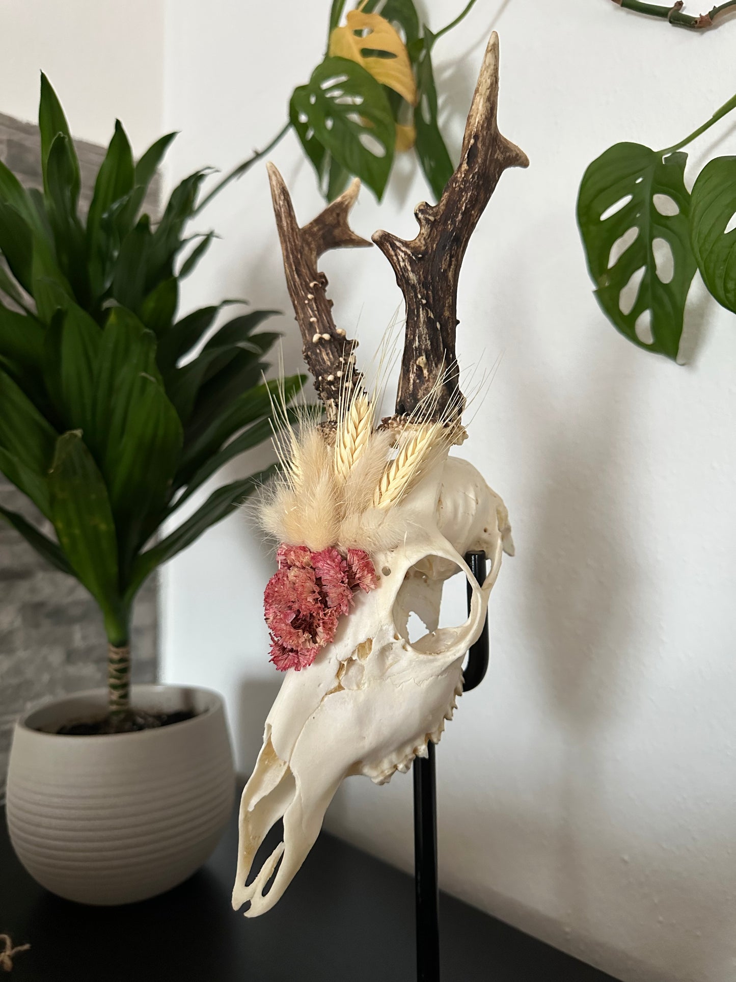 Rehbockschädel verziert Trockenblumen