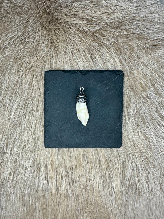 Anhänger Wildschwein Hauer echt SILBER Nr. 9