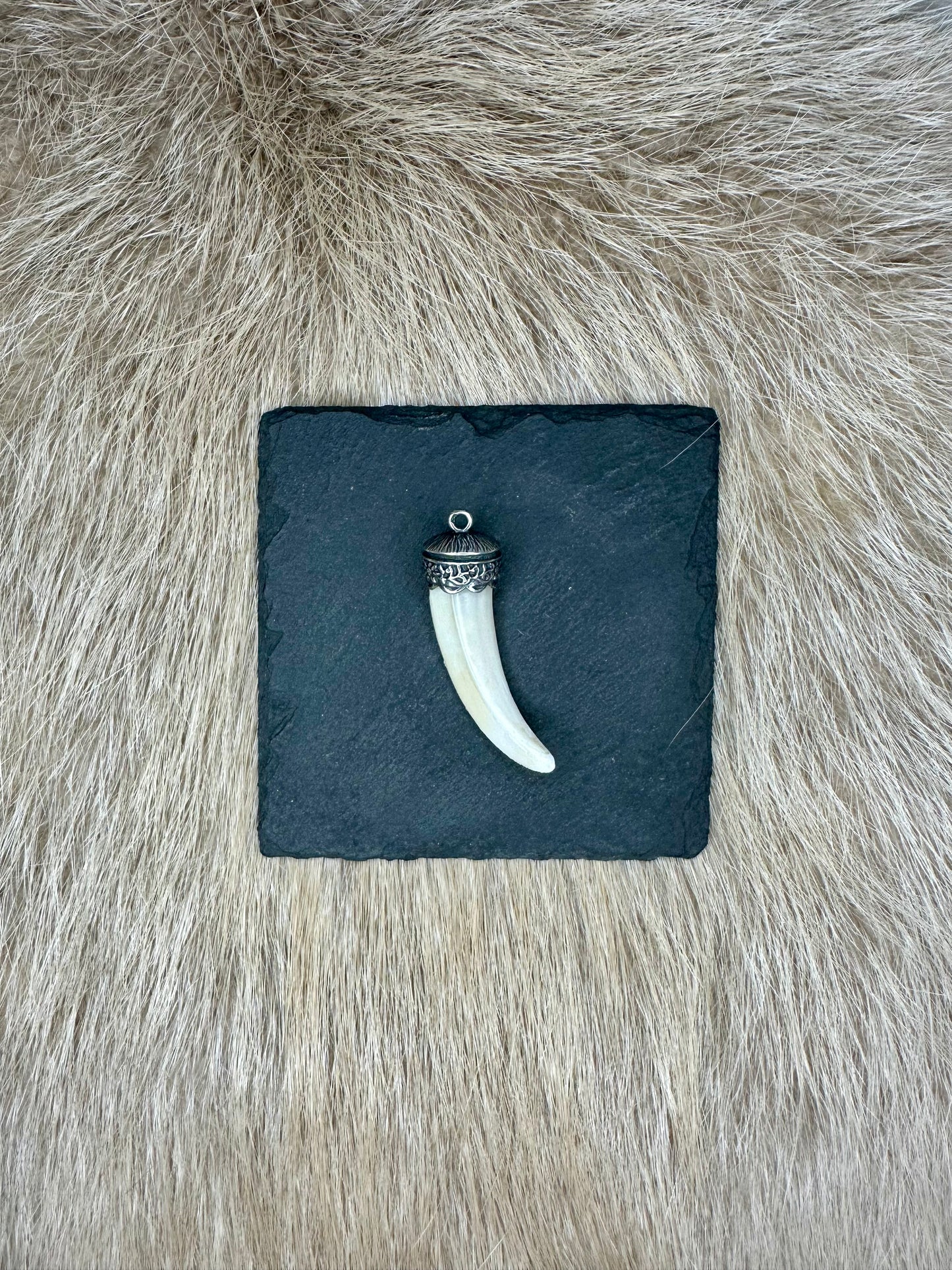 Anhänger Wildschwein Hauer echt SILBER Nr. 7