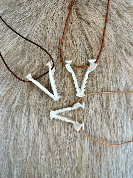 Steinmarder Unterkiefer Halsband