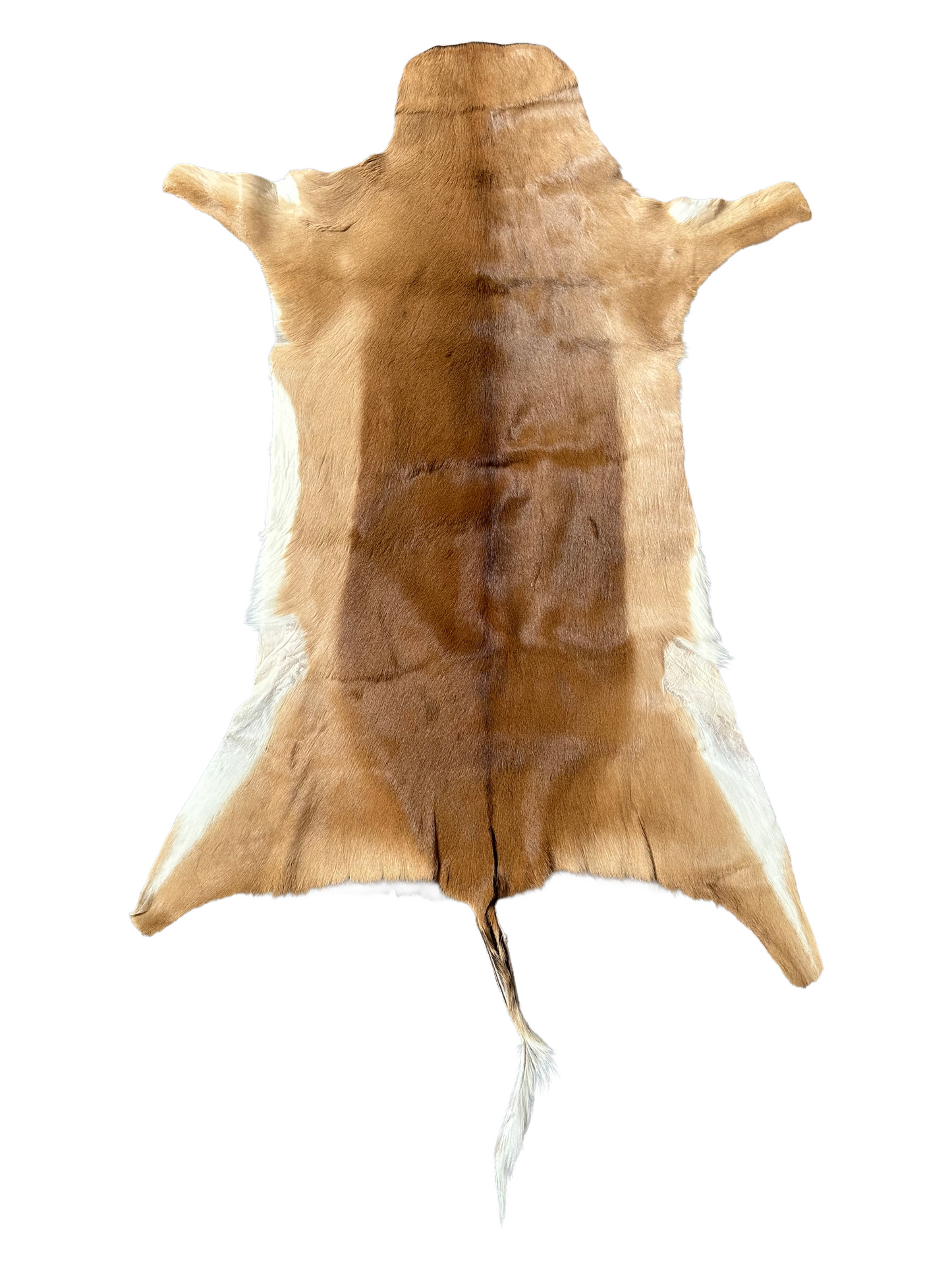 Impala hide 150 cm