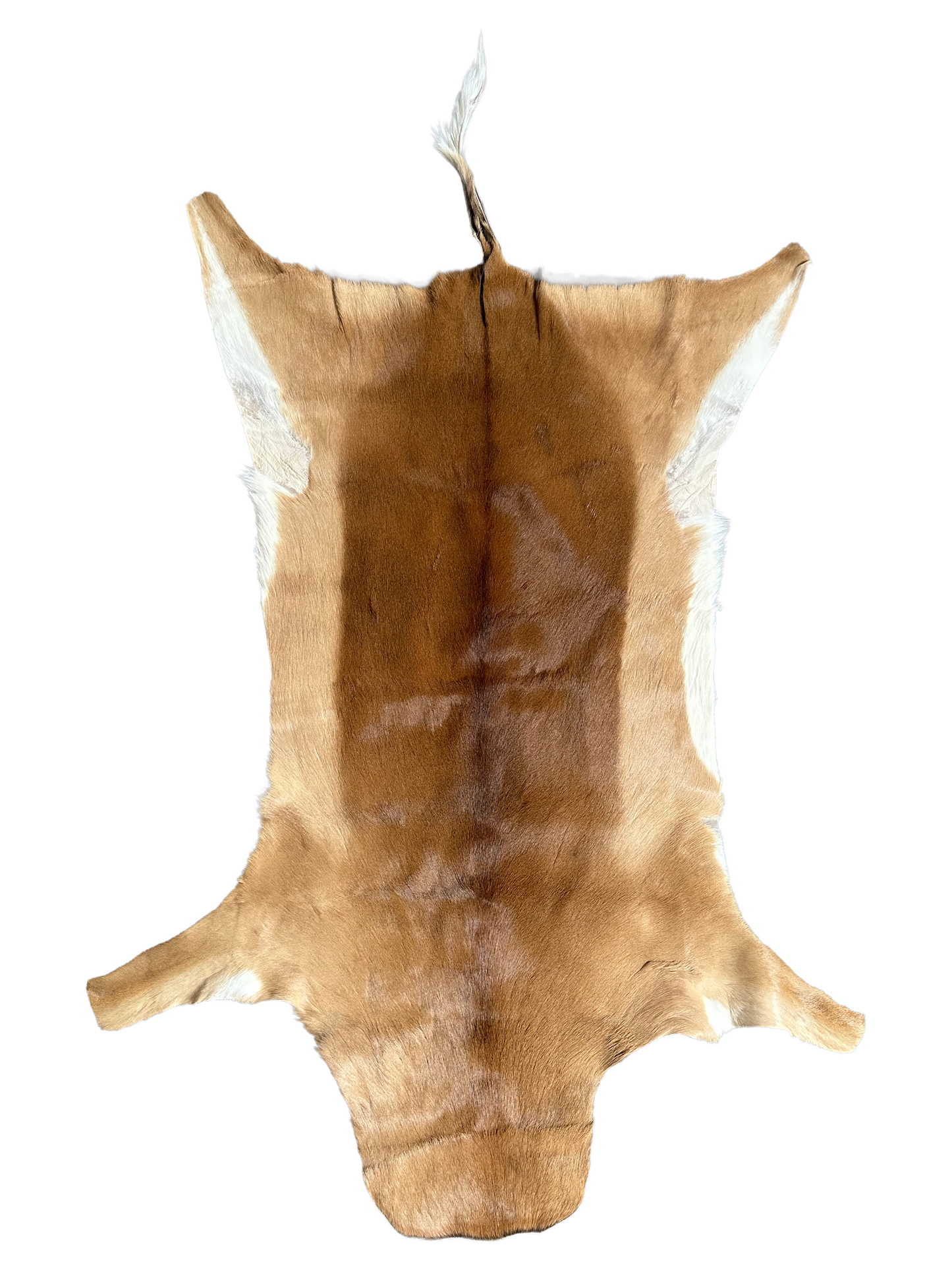 Impala hide 150 cm