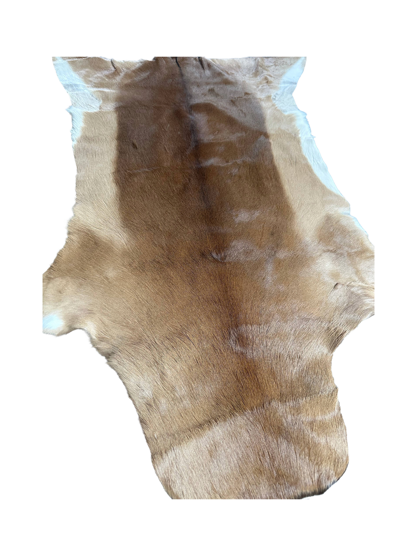 Impala hide 150 cm