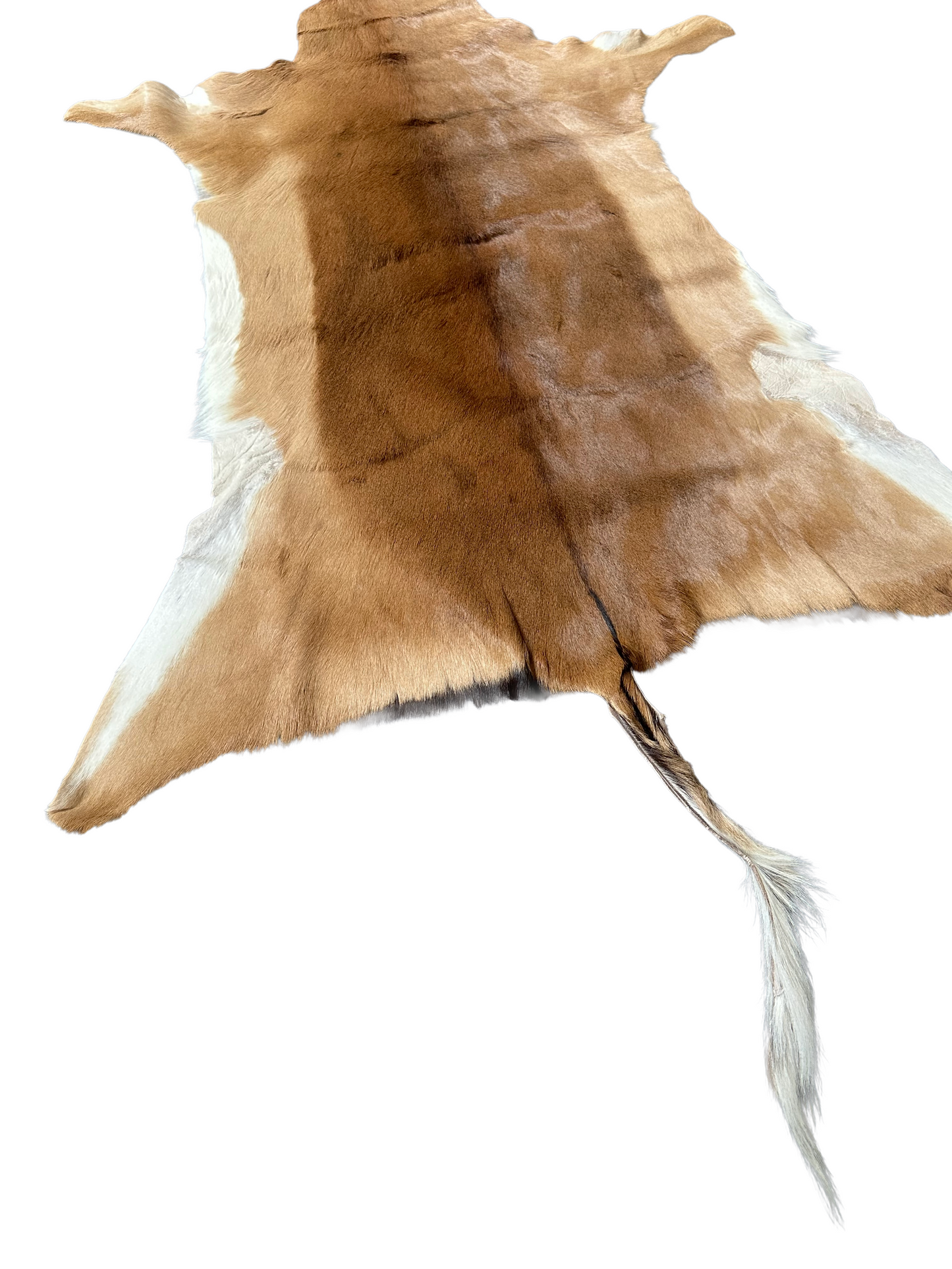 Impala hide 150 cm