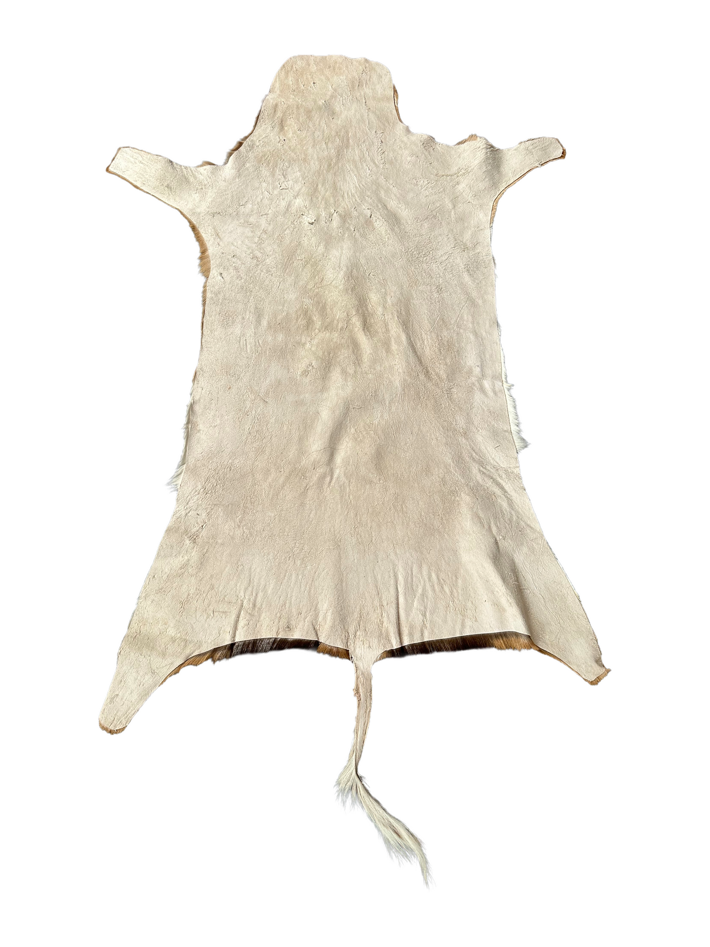 Impala hide 150 cm