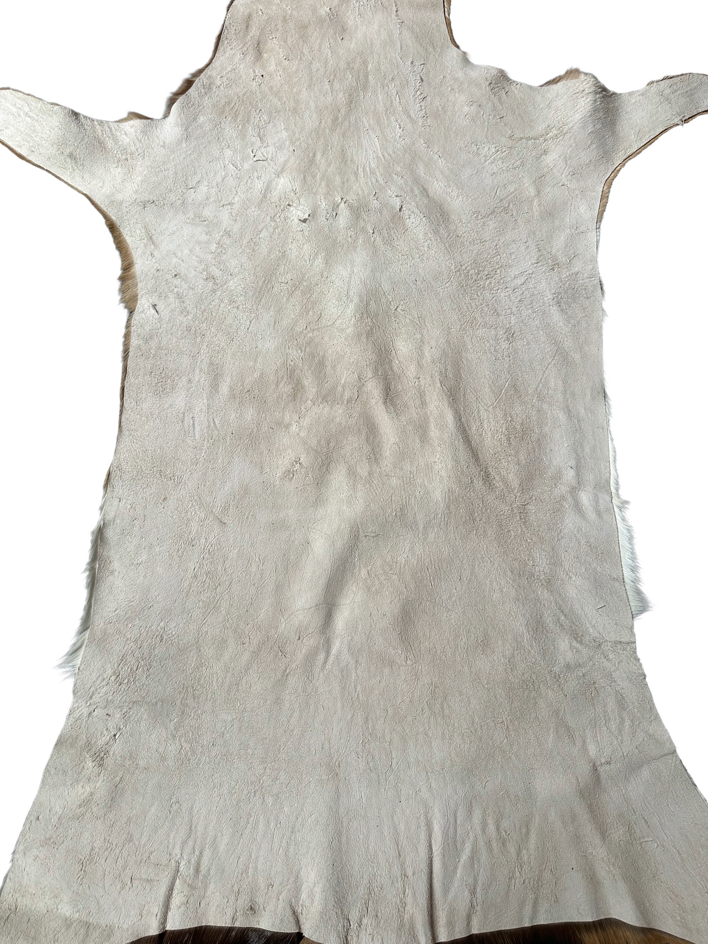 Impala hide 150 cm